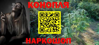 гидропоника Кунгур