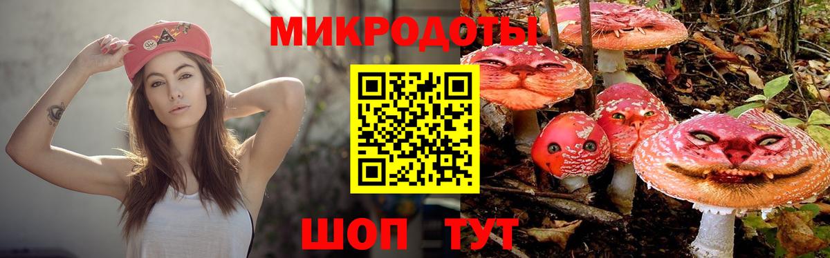 Дивногорск  Галлюциногенные грибы Magic Shrooms  хочу   Вход с VPN 